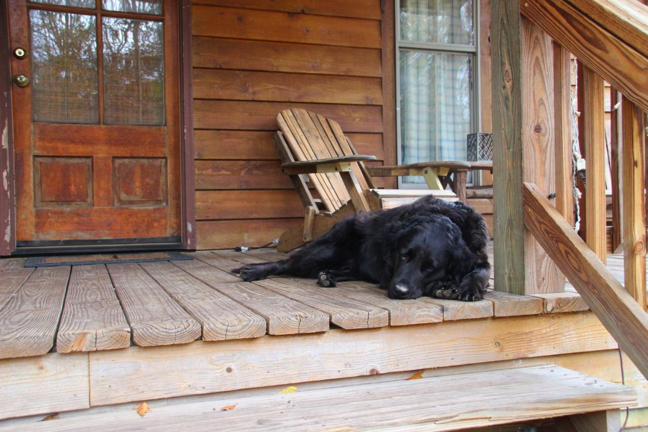 Berry Creek Cabins Bed & Breakfast Isabel Exterior photo